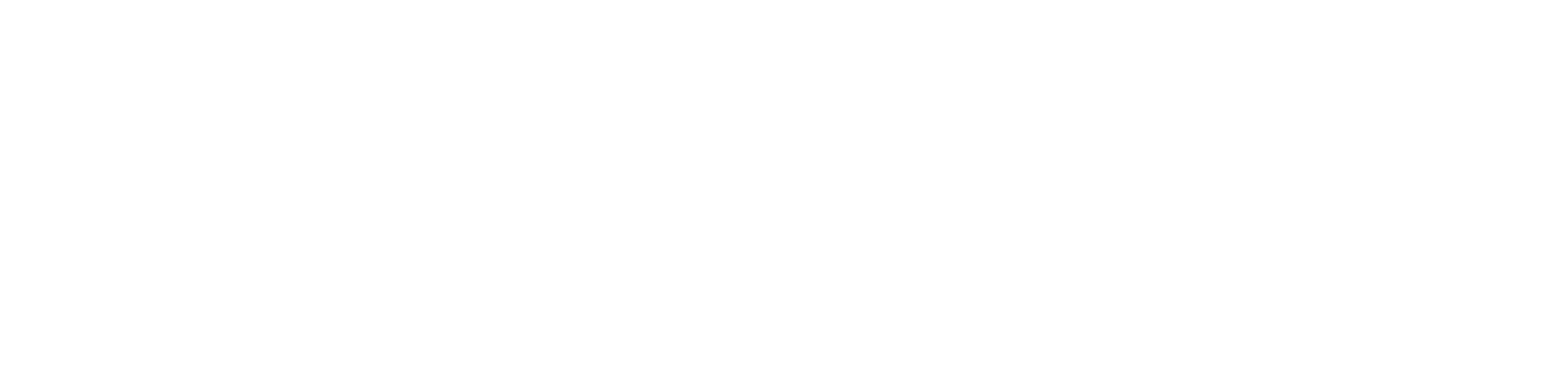 Aslanlar Dış Ticaret